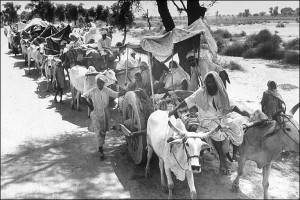 Oxcart-train1947